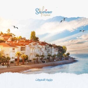 جزيرة الاميرات​