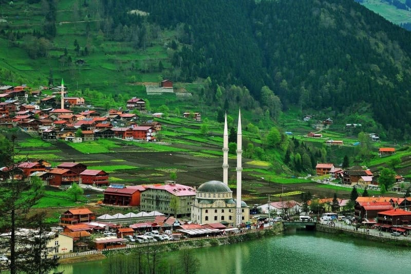 tarbzon