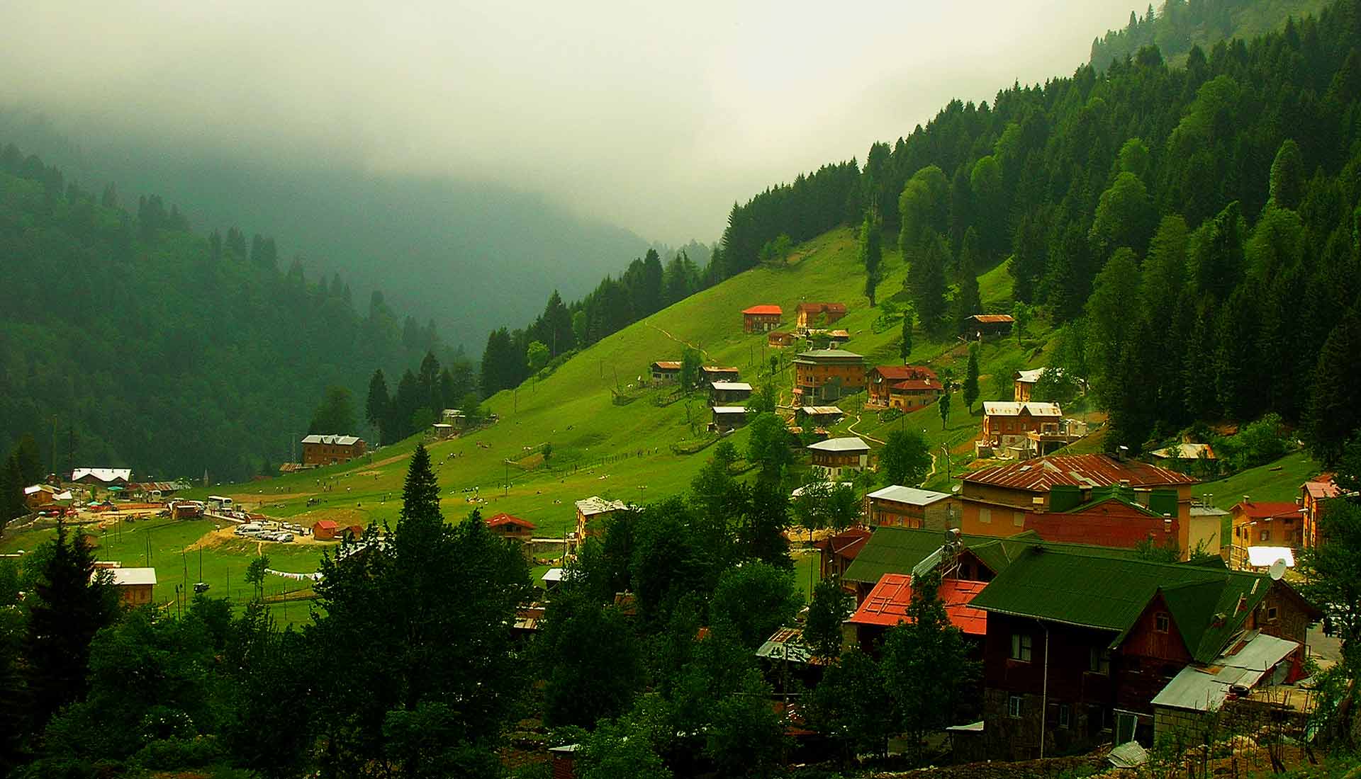 ayder plateau title